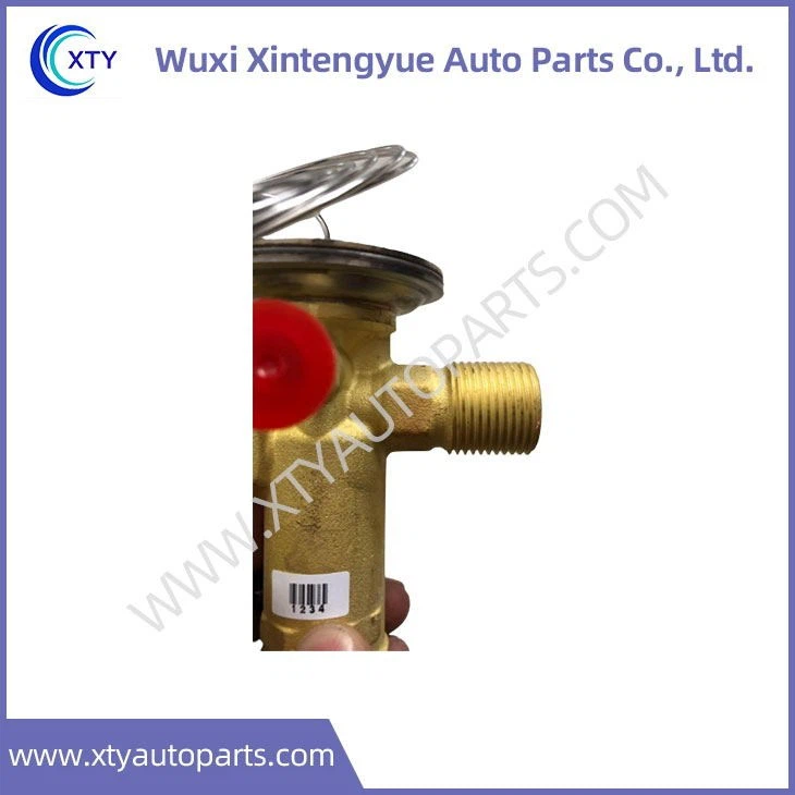 067N7169 Expansion Valve